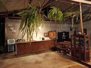 un bar con piante appese al soffitto di Sítio Do Manacá a Domingos Martins