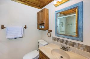 a bathroom with a sink and a mirror and a toilet at Charming 3-bedroom Angel Fire Cabin in Angel Fire +16 photos