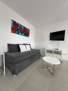 a living room with a couch and a tv at Punta Flecha in Puerto Madryn