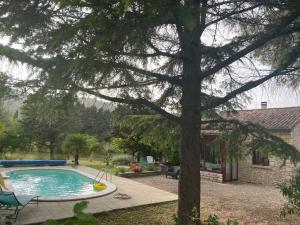 a swimming pool in a yard with a tree at Le petit cabanon in Lagorce