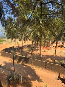 a group of palm trees and a wall in a field at Ocean Mist Beach Homestay in Māvalli +18 photos