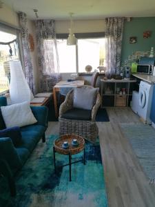 a living room with a couch and a table at Tinyhouse CARPE DIEM in Dirkshorn