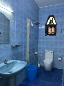 a blue bathroom with a sink and a toilet at Johasham Villa in Colombo +26 photos