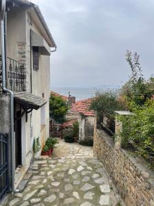 an alley between two buildings with a stone wall at Little Graceland in Afissos