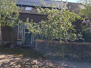 a house with a flowering tree in front of it at B & B De Groene Slaper in Silvolde