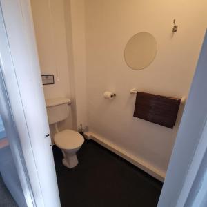 a small bathroom with a toilet and a mirror at Fadrun Cottage in Llangian