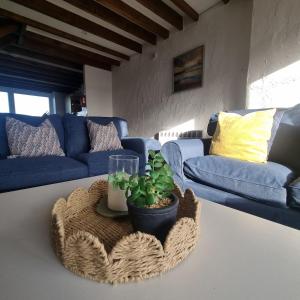 a living room with blue couches and a table with a plant at Fadrun Cottage in Llangian