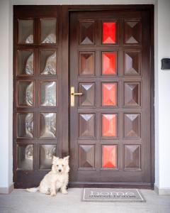a small white dog sitting in front of a door at Apartment Molnar in Žirovnica