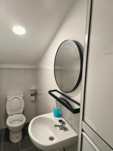 a bathroom with a sink and a mirror and a toilet at Gather inn in George Town +46 photos