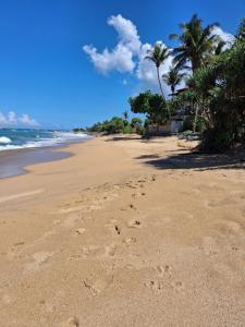 a beach with palm trees and footprints in the sand at Villa Ocean Gift in Galle