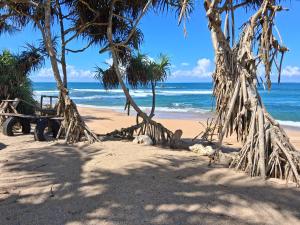 a beach with a bench and palm trees and the ocean at Villa Ocean Gift in Galle +8 photos