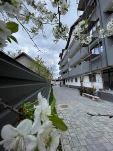 a street with white flowers in front of a building at Confort Apartment in Iaşi