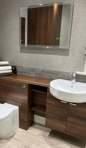 a bathroom with a sink and a toilet and a mirror at BAE SUITE 5 min walk to bae systems in Barrow in Furness