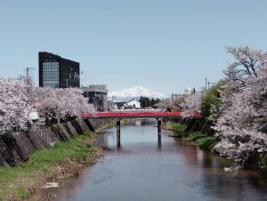 a bridge over a river with pink cherry trees at 旅の宿 もはち Private Guesthouse MOHACHI in Tsuruoka