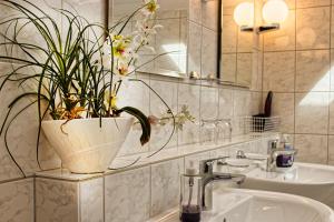 a bathroom with a potted plant on a sink at Haus Jägerfleck, Ihre Ferienwohnungen am Nationalpark Bayerischer Wald in Spiegelau +86 photos