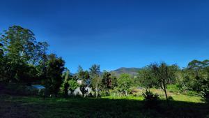 a field with trees and a house in the distance at Tea sprig villa in Boralanda