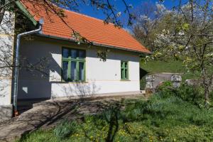 a house with an orange roof and green windows at Nostalgia in Turda