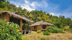 a resort with two huts in a field at Friendly Beach in Tanna Island