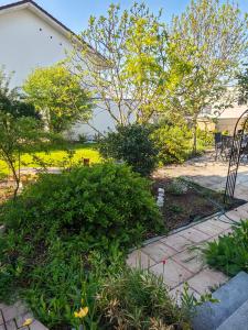 a garden with a walkway and flowers and trees at Im Grünen in Nußloch
