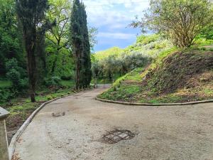a winding road in a park with trees at L'Antica Dimora Toscana in Cecina