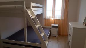 a bunk bed with a ladder in a small room at Herrmanns-Ferienhaus Wohnung 1 in Schlüsselfeld +34 photos