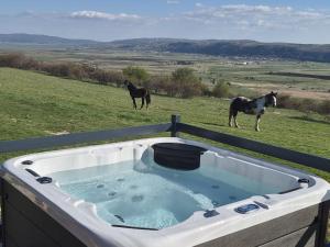 a bath tub with two horses standing in a field at Mountain house Tomislavgrad with Jacuzzi in Tomislavgrad