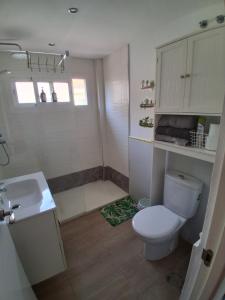 a bathroom with a toilet and a sink and a shower at Studio with Pool BENALMADENA in Benalmádena