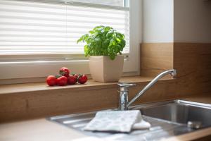 a kitchen counter with a sink and a potted plant at Backhaus Ost in Bisdorf