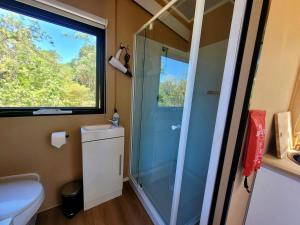 a bathroom with a shower and a toilet and a window at Nomad Nation by Tiny Away in Mount Perry