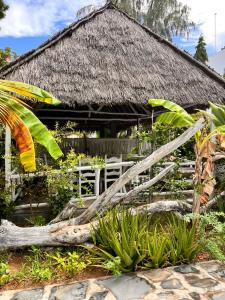 a house with a fallen tree in front of it at Hide Away Villa in Watamu