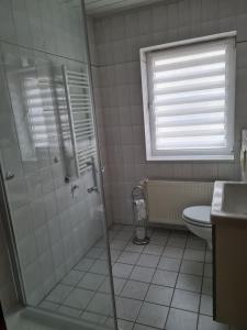 a bathroom with a shower and a toilet at Selafa Carma in Mühlhausen