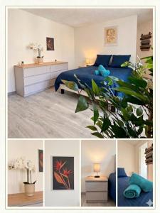 a collage of pictures of a bedroom with a bed at Chic & Lumineux / Évreux Centre / WiFi in Évreux
