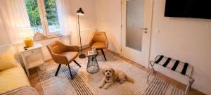 a dog sitting in a living room with two chairs at Komfortable Ferienwohnung 2x Schlafzimmer, Sauna zubuchbar, Parkplatz & Top Lage in Bad Muskau in Bad Muskau