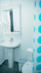 a bathroom with a sink and a toilet and a mirror at Chechakar Boutique Hotel in Ditavan +14 photos