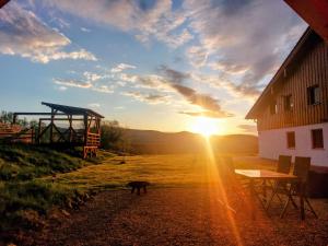 a cat standing in a field with the sun setting at Staufen-Chalet Hochreit in Anger