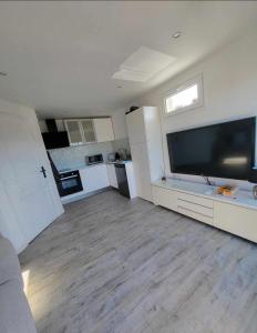 a large living room with a large flat screen tv at Studio Villa Loostic in Martigues