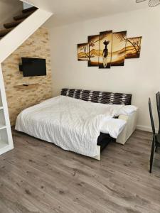a bedroom with a large bed and a flat screen tv at Gite Les 4 Fleurs in Le Puy-en-Velay