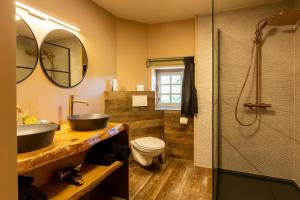 a bathroom with a sink and a toilet and a shower at lignely in Durbuy
