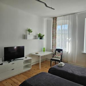 a living room with a tv and a bed and a desk at Kamienica Nowodworska 30 in Bydgoszcz