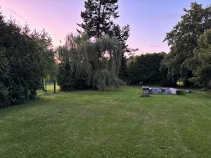 a field with a tree and a tent in it at Voigt's Hofpension GbR in Zahna-Elster
