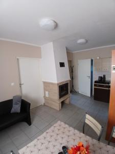 a living room with a couch and a fireplace at Tęczowe Wzgórze Bieszczady 887 - 507 - 298 in Wołkowyja