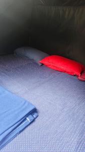 a red and blue pillow on a bed at Koodaram Camping Munnar in Munnar