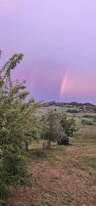 a rainbow in the sky over a field with trees at Orchard House North in Pergola