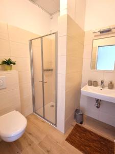 a bathroom with a shower and a toilet and a sink at House of Flow in Pritzwalk