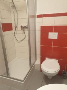a bathroom with a toilet and a shower at Voigt's Hofpension GbR in Zahna-Elster +20 photos