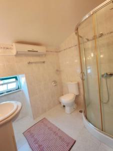 a bathroom with a shower and a toilet and a sink at Stone House - Waterfalls, Nature Stay in Louriçal do Campo +23 photos
