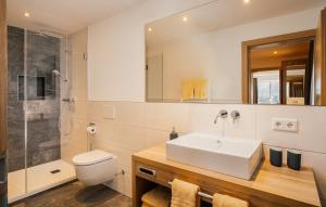 W łazience znajduje się umywalka, toaleta i prysznic. w obiekcie Haus Schönblick w mieście Seefeld in Tirol