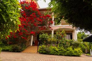 a house with red flowers in front of it at UmuTea Villa - Authentic East African local experience in Kigali