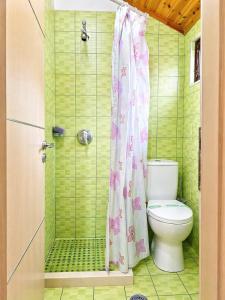 a bathroom with a toilet and a shower at Hotel Domino in Gjirokastër +49 photos