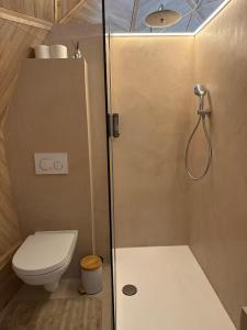 a small bathroom with a shower and a toilet at L'Échappée Bulle - Dôme & jacuzzi - Bastogne Centre in Bastogne